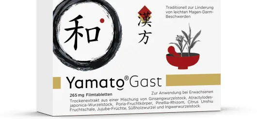 Yamato Gast 265 mg 63 Filmtabletten