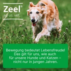 Zeel ad us. vet. 500 Tabletten