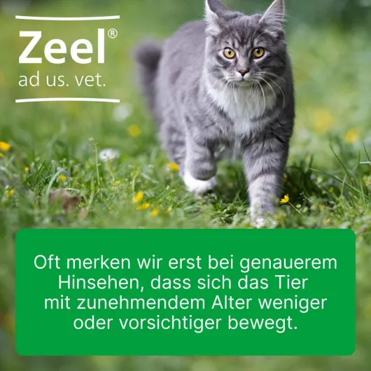 Zeel ad us. vet. 500 Tabletten
