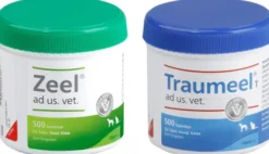 Zeel ad us. vet. 500 Tabletten + Traumeel T Vet. 500 Tabletten