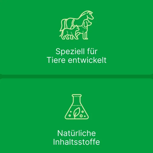 Zeel vet. 50 X 5 ml Ampullen