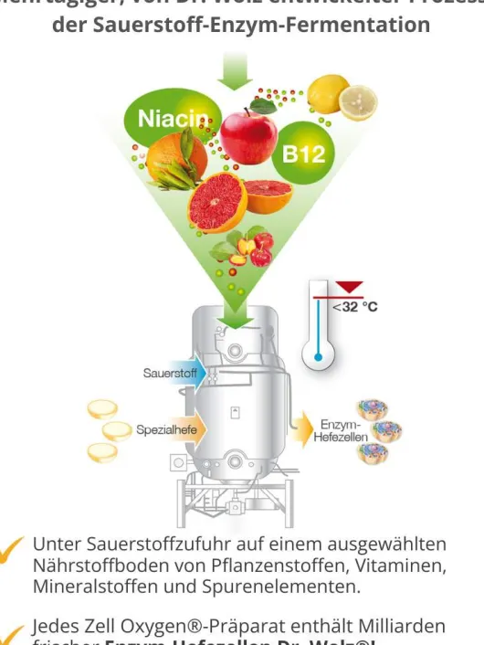 Zell Oxygen Flüssig