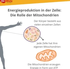 Zell Oxygen Plus 250 ml Flüssigkeit