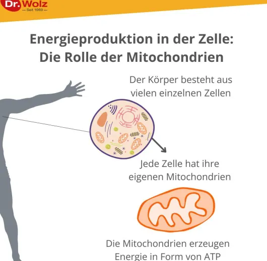 Zell Oxygen Plus 250 ml Flüssigkeit