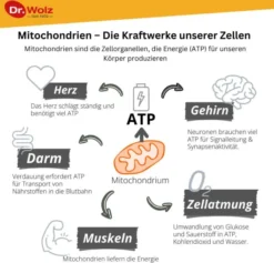 Zell Oxygen Plus 250 ml Flüssigkeit